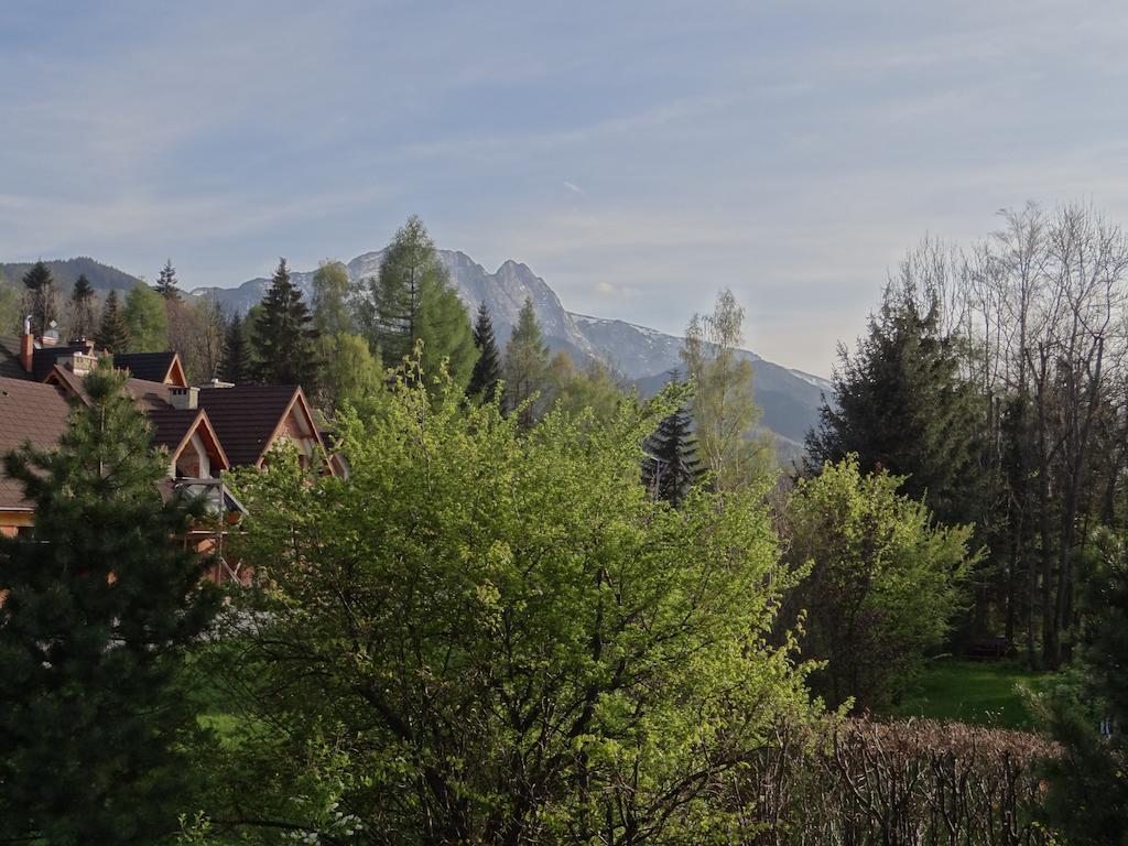 Stefanka Daire Zakopane Oda fotoğraf