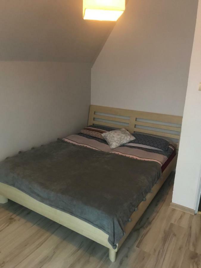 Stefanka Daire Zakopane Dış mekan fotoğraf